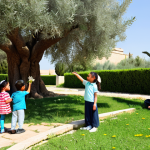 A diverse group of elementary school children, fully clothed in modest, comfortable outdoor attire, is gathered in a lush, sun-dappled garden. One child points excitedly at a blossoming flower, while another observes a small insect on a leaf. In the background, an ancient olive tree stands tall, representing Middle Eastern culture, alongside subtle hints of diverse global plant life. The children are engaged in a natural pose, exhibiting perfect anatomy, correct proportions, well-formed hands, and proper finger count. The scene conveys curiosity, collaboration, and a sense of wonder. Professional photography, high quality, safe for work, appropriate content, fully clothed, family-friendly.